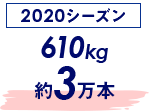 2020シーズン 610kg