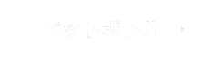 Garrafa PET