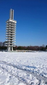 使用②まいめIMG_5890