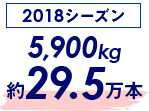 2018賽季 5,900公斤